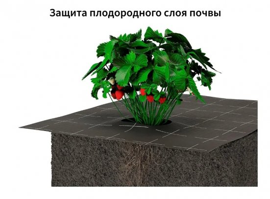 Геотекстиль ландшафтный ONDUTISS Geo